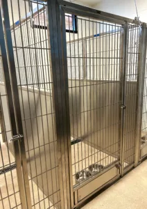 Stainless steel dog kennels at the new Sand Springs Animal Welfare shelter will allow staff members and volunteers to feed the dogs and open the doors to their outside runs without having to enter the kennels.