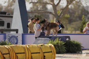 Susan Gill and Creed pause before competing at the 2026 AKC National Agility Championship.