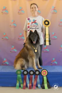 Susan Gill and Creed placed third at the 2026 AKC National Agility Championship.
