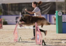 Trust in Motion agility 9