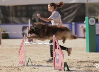 Trust in Motion agility 9