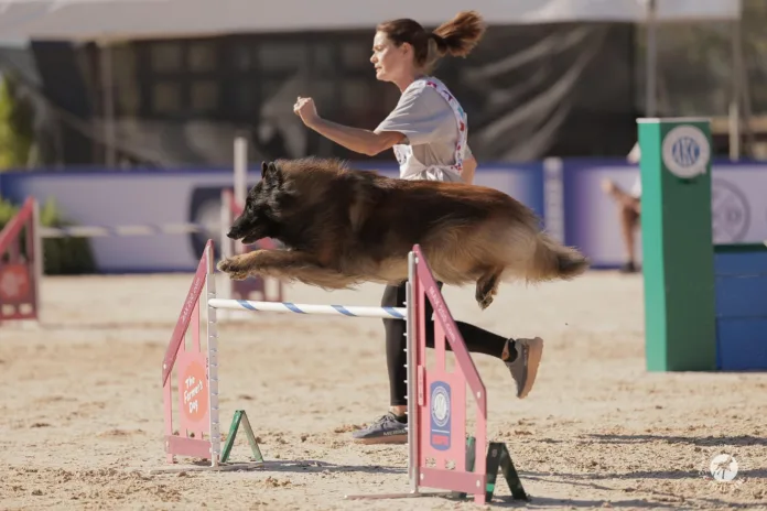 agility 9