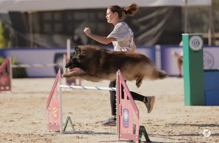 Trust in Motion agility 9