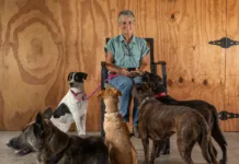 Pets & Their People: Every Pet Has a Story Lisa Jewell with her canine crew, from left: Mia, Gunner, Enzo, Maci and Rousey.