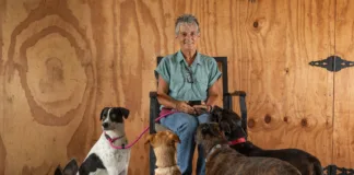 Pets & Their People: Every Pet Has a Story Lisa Jewell with her canine crew, from left: Mia, Gunner, Enzo, Maci and Rousey.