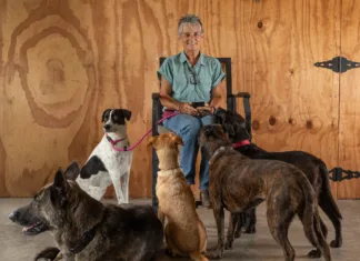 Pets & Their People: Every Pet Has a Story Lisa Jewell with her canine crew, from left: Mia, Gunner, Enzo, Maci and Rousey.