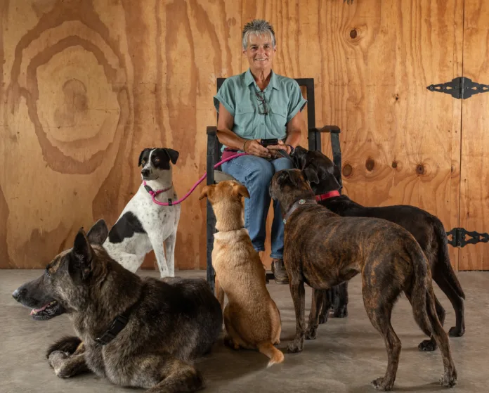 Lisa Jewell with her canine crew, from left: Mia, Gunner, Enzo, Maci and Rousey. Lisa Jewell with her canine crew, from left: Mia, Gunner, Enzo, Maci and Rousey.