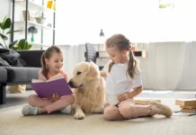 From Summer Snuggles to School Schedules Two children reading with a Golden Retriever at home
