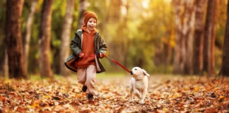 Training Tip: Kids and Dogs Child sitting calmly beside a family dog