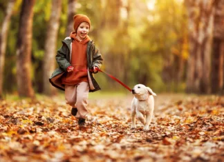 Training Tip: Kids and Dogs Child sitting calmly beside a family dog