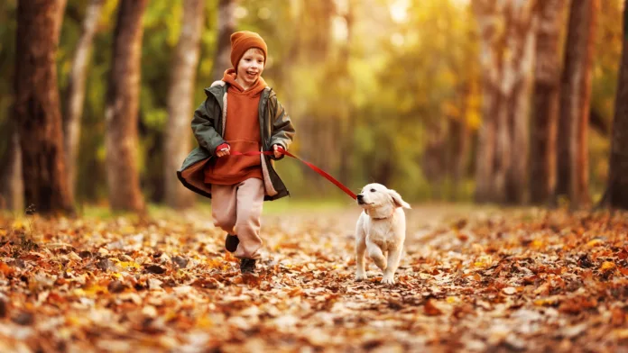 Child sitting calmly beside a family dog Child sitting calmly beside a family dog
