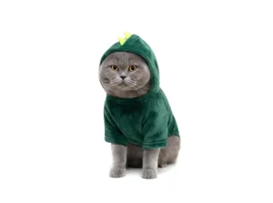 Cat wearing a green dinosaur hoodie with felt spikes