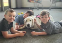 Paws in the Classroom Therapy dog Luna with students at Barnes Elementary School