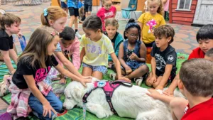 Therapy dogs are always ready and willing to visit a classroom, pop in as a reward to celebrate excellent behavior or hang out in the library for pets after open checkout.