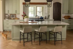 A cat explores a newly renovated Tulsa-area kitchen with a large island.