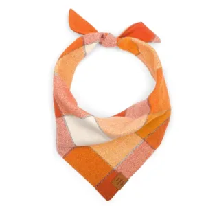 The Foggy Dog Pumpkin Spice flannel bandana